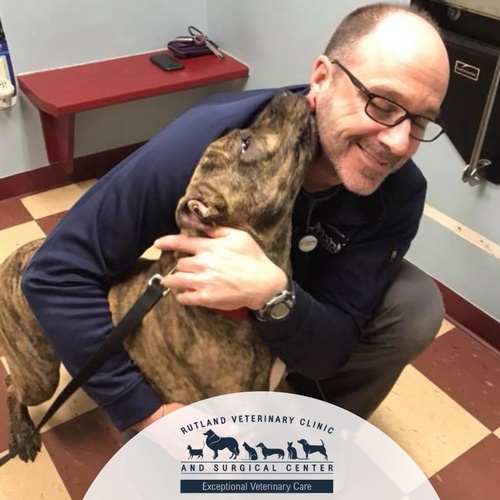 Rutland Veterinary Clinic & Surgical Ctr. Boarding and Kennels Pet